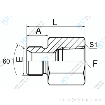 BSP Male 60 Cone Seat/NPT Kvinna